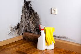 Best Biohazard Mold Removal  in Meadville, PA